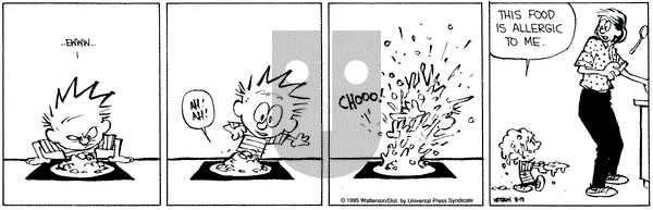 Calvin and Hobbes on Saturday August 19, 1995 Comic Strip