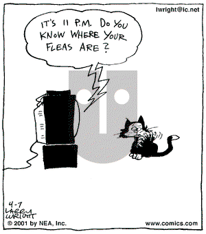 Kit 'N' Carlyle on Saturday April 7, 2001 Comic Strip