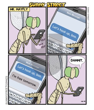 Sunny Street on Monday May 9, 2016 Comic Strip