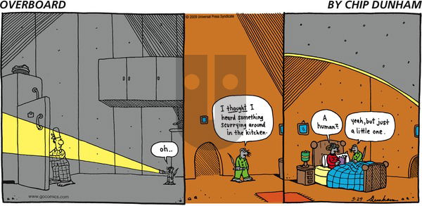 Overboard on Sunday March 29, 2009 Comic Strip