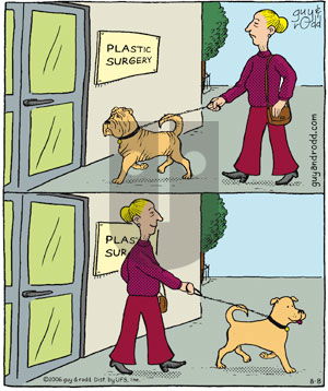 Brevity on Tuesday August 8, 2006 Comic Strip