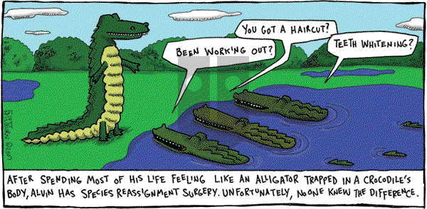 The Argyle Sweater on Sunday April 29, 2007 Comic Strip