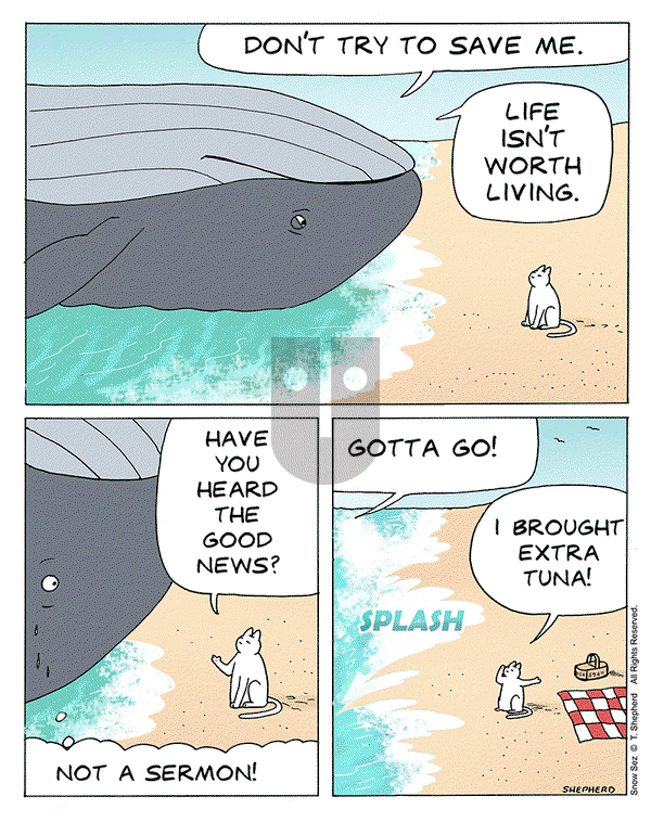 Snow Sez on Wednesday April 3, 2024 Comic Strip