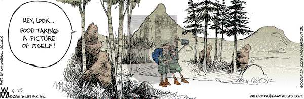 Non Sequitur on Wednesday May 25, 2016 Comic Strip