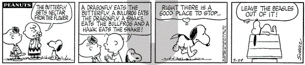 Peanuts on Wednesday July 29, 1964 Comic Strip