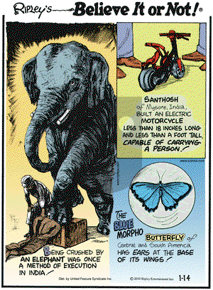 Ripley's Believe It or Not on Thursday January 14, 2010 Comic Strip