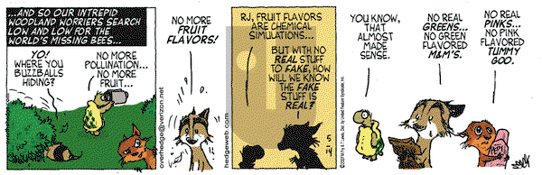 Over the Hedge on Monday May 14, 2007 Comic Strip