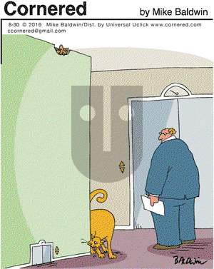 Cornered on Tuesday August 30, 2016 Comic Strip