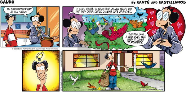 Baldo on Sunday December 29, 2002 Comic Strip