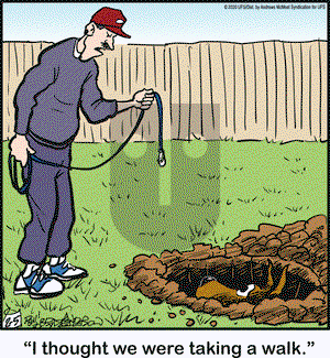 Marmaduke on Wednesday February 5, 2020 Comic Strip