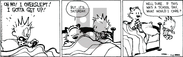Calvin and Hobbes - Saturday September 18, 1993 Comic Strip