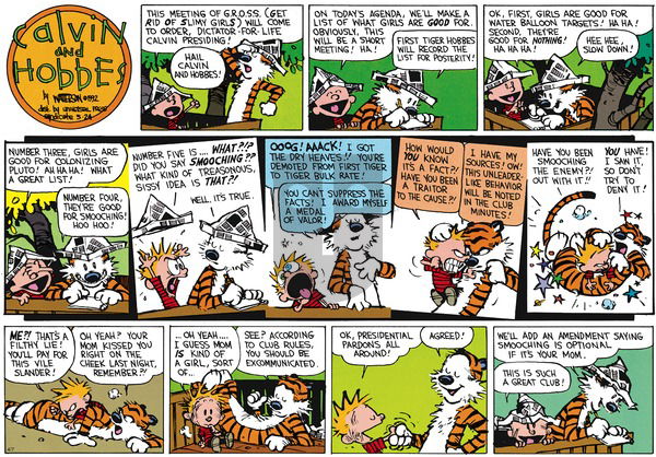 Calvin and Hobbes on Sunday May 24, 1992 Comic Strip