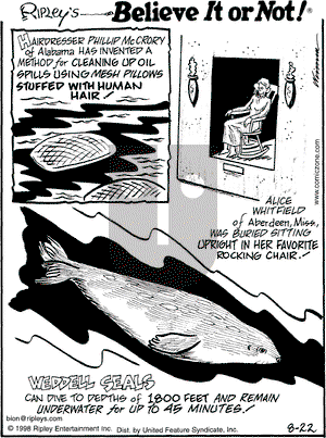 Ripley's Believe It or Not on Saturday August 22, 1998 Comic Strip