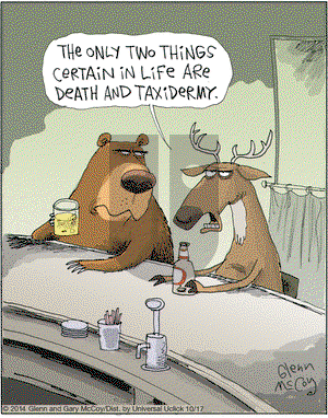 The Flying McCoys on Friday October 17, 2014 Comic Strip