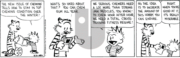 Calvin and Hobbes - Wednesday December 27, 1995 Comic Strip