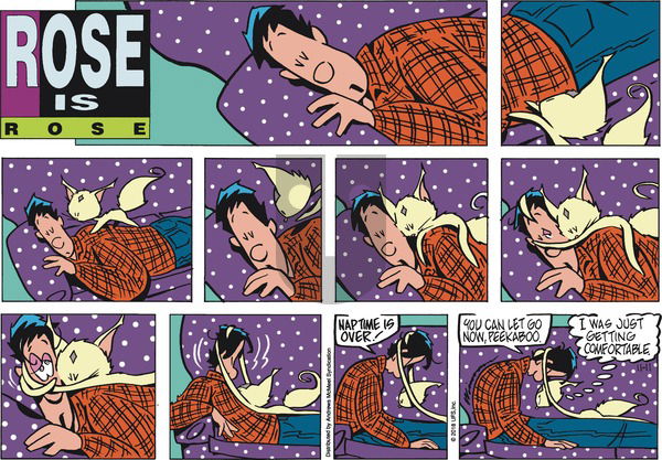 Rose is Rose on Sunday November 11, 2018 Comic Strip