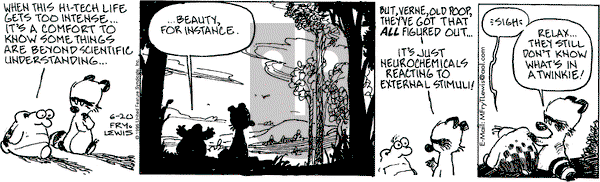Over the Hedge on Thursday June 20, 1996 Comic Strip