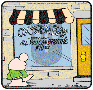 Ziggy on Wednesday November 5, 2008 Comic Strip