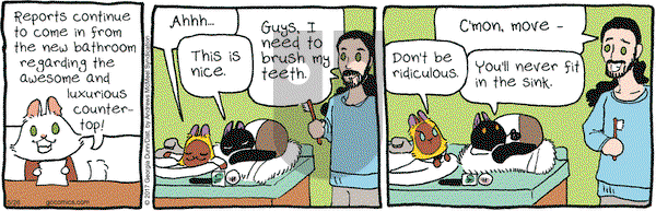 Breaking Cat News on Friday May 26, 2017 Comic Strip