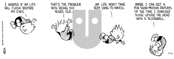 Calvin and Hobbes on Tuesday July 12, 1988 Comic Strip