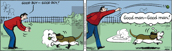 Fred Basset on Tuesday November 24, 2009 Comic Strip