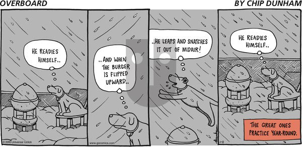 Overboard on Sunday January 11, 2015 Comic Strip