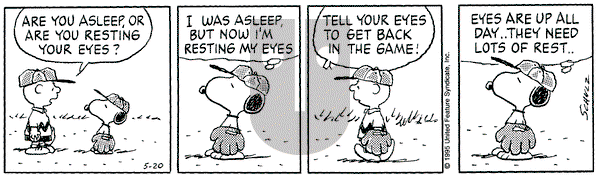Peanuts on Saturday May 20, 1995 Comic Strip