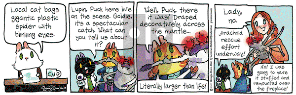 Breaking Cat News on Thursday October 15, 2020 Comic Strip