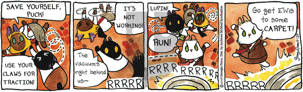 Breaking Cat News on Friday April 20, 2018 Comic Strip