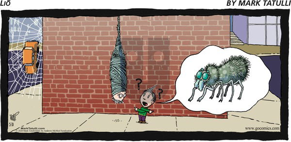 Lio on Sunday May 31, 2020 Comic Strip