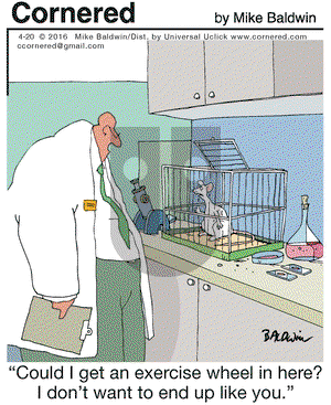 Cornered on Wednesday April 20, 2016 Comic Strip
