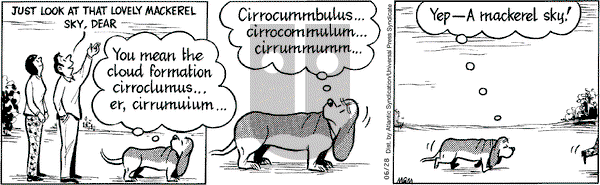 Fred Basset on Saturday June 28, 2008 Comic Strip