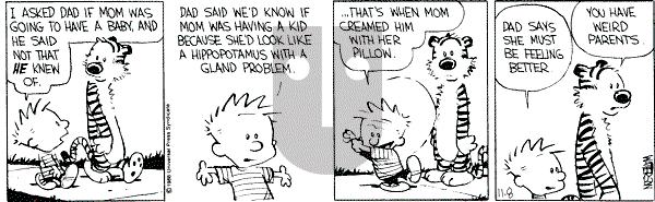 Calvin and Hobbes - Saturday November 8, 1986 Comic Strip