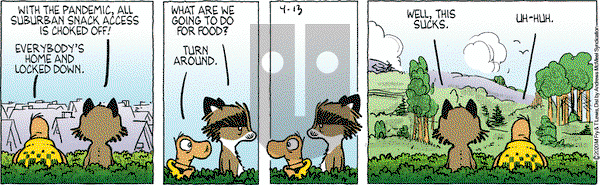 Over the Hedge on Monday April 13, 2020 Comic Strip