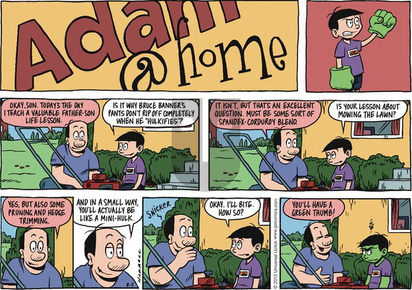 Adam@Home on Sunday August 5, 2012 Comic Strip