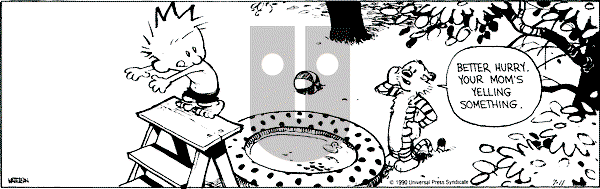 Calvin and Hobbes - Wednesday July 11, 1990 Comic Strip