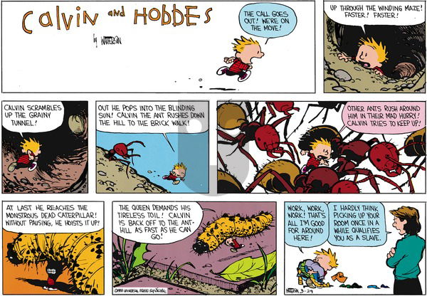 Calvin and Hobbes - Sunday May 8, 1988 Comic Strip