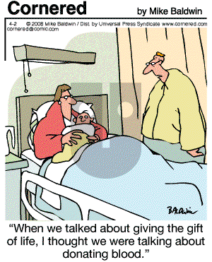 Cornered - Wednesday April 2, 2008 Comic Strip