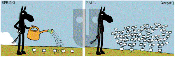 Dark Side of the Horse on Friday April 26, 2019 Comic Strip