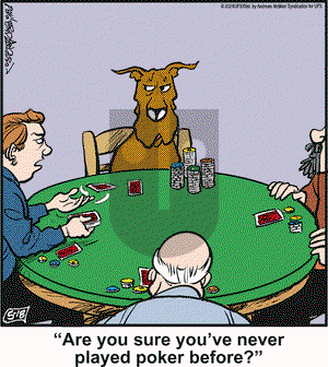 Marmaduke - Saturday May 18, 2024 Comic Strip