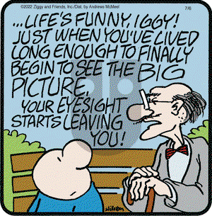 Ziggy - Wednesday July 6, 2022 Comic Strip