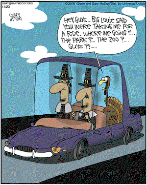 The Flying McCoys on Wednesday November 23, 2016 Comic Strip