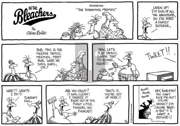 In the Bleachers on Sunday November 26, 1995 Comic Strip