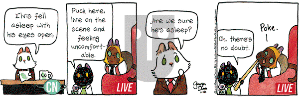 Breaking Cat News on Thursday January 10, 2019 Comic Strip