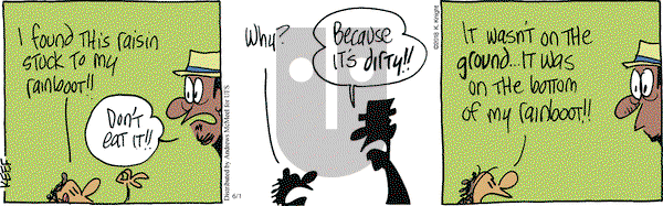The Knight Life on Friday June 1, 2018 Comic Strip