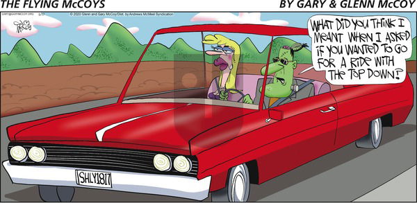 The Flying McCoys on Sunday May 17, 2020 Comic Strip