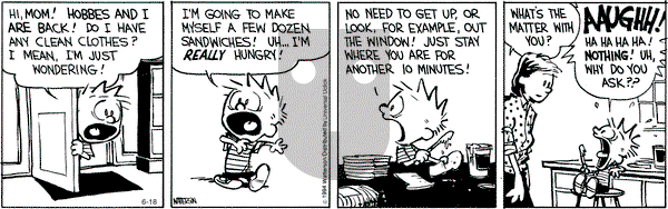 Calvin and Hobbes - Wednesday June 18, 2014 Comic Strip