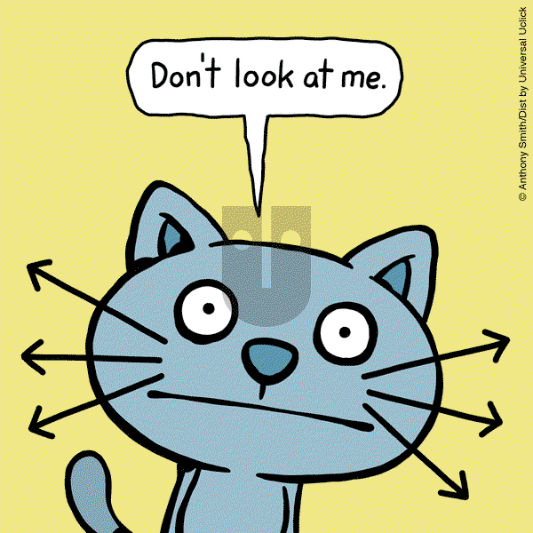 Cattitude — Doggonit on Thursday February 6, 2025 Comic Strip