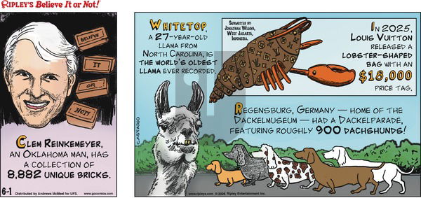 Ripley's Believe It or Not on Sunday June 1, 2025 Comic Strip