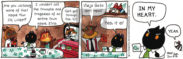 Breaking Cat News on Saturday August 17, 2019 Comic Strip
